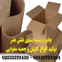 لوگوی چاپ و بسته بندی نقش هنر
